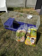 Gratis - hok + toebehoren Konijn, Dieren en Toebehoren, Knaagdieren en Konijnen | Hokken en Kooien, Ophalen, Zo goed als nieuw