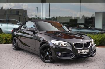BMW 218 i Cabrio Sport Line /1st OWNER/LED/AUTOMAAT/NAVI beschikbaar voor biedingen