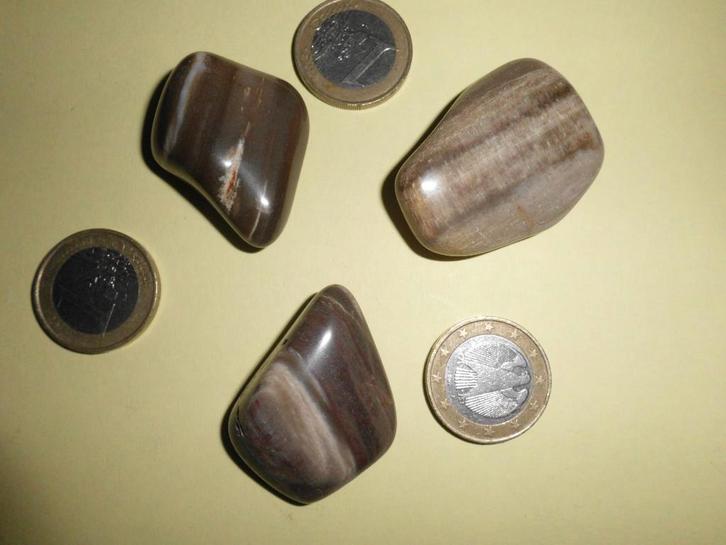 12 KNUFFELSTENEN VERSTEEND HOUT V 10 €, Collections, Minéraux & Fossiles, Enlèvement ou Envoi