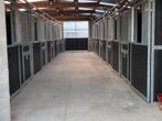 Prive Stalling Volpension Olvw, Dieren en Toebehoren, Stalling en Weidegang, Weidegang, 2 of 3 paarden of pony's