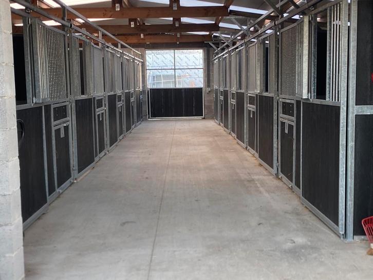 Prive Stalling Volpension Olvw, Dieren en Toebehoren, Stalling en Weidegang, Stalling, Weidegang, 2 of 3 paarden of pony's