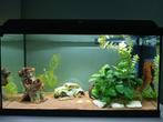 Aquarium 60l, Dieren en Toebehoren, Ophalen, Gebruikt, Gevuld zoetwateraquarium