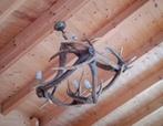 Lustre en bois de cerf, Enlèvement, Comme neuf, Bois