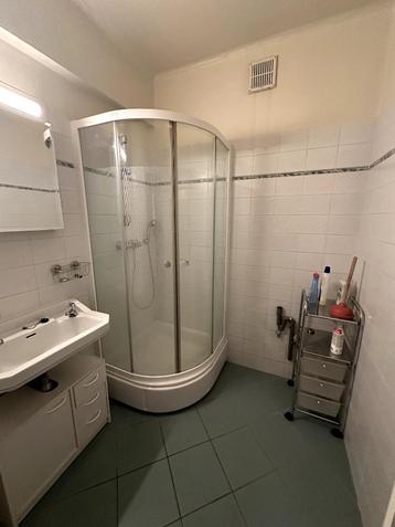 Complete badkamerinrichting te koop (Antwerpen) beschikbaar voor biedingen