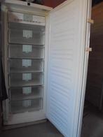 Congélateur Liebherr nofrost, Electroménager, Congélateur, 160 cm ou plus, Enlèvement, Utilisé
