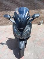 Honda Forza 125cc, Motoren, Motoren | Honda, Scooter, Particulier, 125 cc, 11 kW of minder