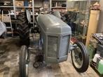 Traktor Tef 20, Ophalen, Oldtimer, Massey Ferguson