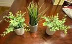 Mini plantes artificielles, Enlèvement, Comme neuf, Intérieur