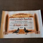 Lot  7 oude diploma's van duivensport