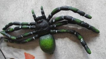 halloween spin beschikbaar voor biedingen