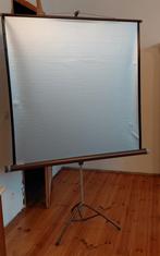 Écran de projection argenté, Enlèvement