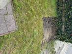 Zwart zand, Tuin en Terras, Zand, Ophalen