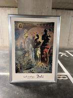 Salvador Dali - The Hallucinogenic ..., Huis en Inrichting, Ophalen, Zo goed als nieuw