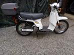 Honda SH 50, Motos, Scooter, 50 cm³