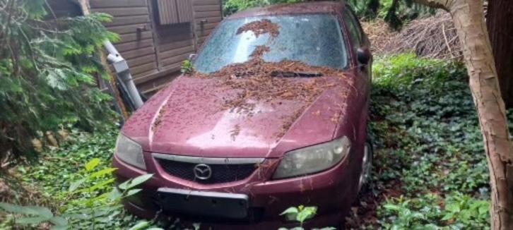 onderdelen mazda 323F 1600 Tsi 12/2002, Auto-onderdelen, Carrosserie, Spatbord, Mazda, Voor, Links, Rechts, Gebruikt, Ophalen