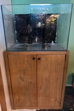 BlueMarine Reef 200 aquarium met sump – massieve eiken kast, Dieren en Toebehoren, Ophalen, Gebruikt, Leeg aquarium