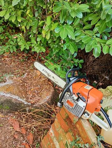 Stihl 440 - kettingzaag beschikbaar voor biedingen