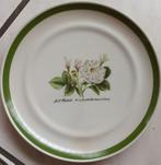 Dessertbordjes porselein Hutschenreuter, 5 stuks, Antiek en Kunst, Ophalen