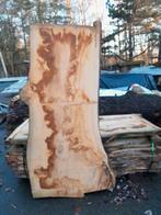 Boomstamplank kastanje, Ophalen