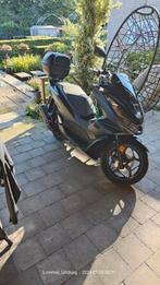 Honda pcx 125cc, Particulier