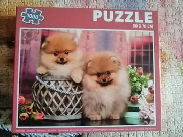 Puzzle 1000 pièces Chiots de Poméranie beschikbaar voor biedingen