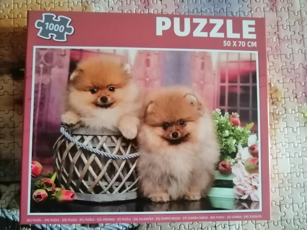 Puzzle 1000 pièces Chiots de Poméranie, Hobby en Vrije tijd, Denksport en Puzzels, Zo goed als nieuw, Legpuzzel, Ophalen of Verzenden
