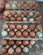 Dagelijks verse eieren, Diversen, Ophalen