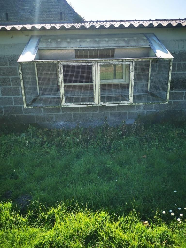 Spoetnik-volière - 3 stuks - ook apart te krijgen, Animaux & Accessoires, Oiseaux | Pigeons