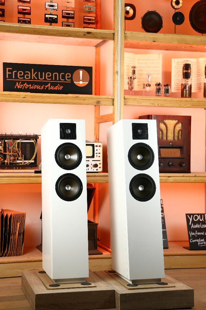 Master Persuader (Version 2) TRADE.INRUIL. Erg overtuigend., Audio, Tv en Foto, Luidsprekerboxen, Zo goed als nieuw, Ophalen of Verzenden