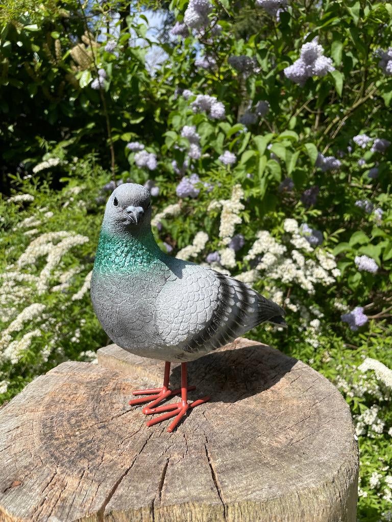 Beeld Postduiven grijs tuin, vijver, boerderij 26cm, Ophalen of Verzenden, Nieuw, Kunststof, Dierenbeeld
