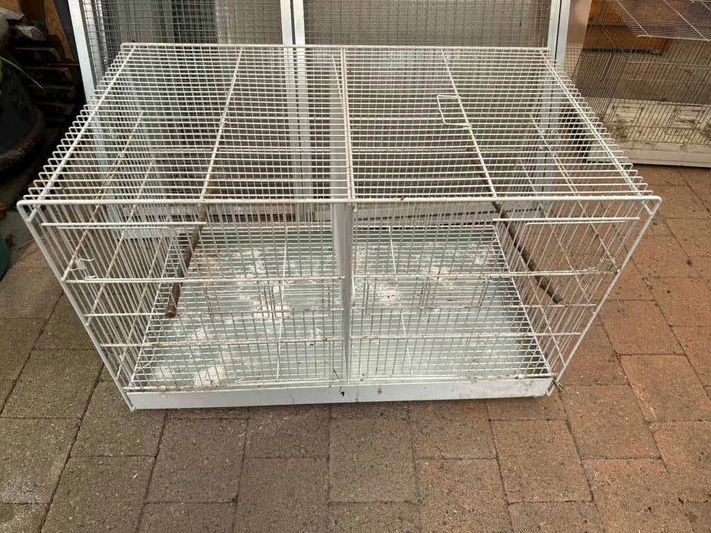 Kweekkooi, Ophalen, Gebruikt