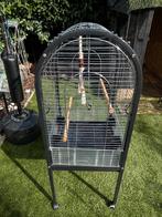 Grote Vogelkooi op Standaard – Zeer Stevig & Compleet, Ophalen, Zo goed als nieuw, Vogelkooi