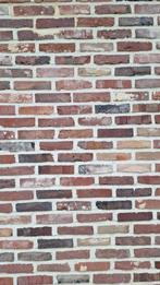 Metselstenen Waalformaat 24x11x5cm, Enlèvement, Utilisé, Briques