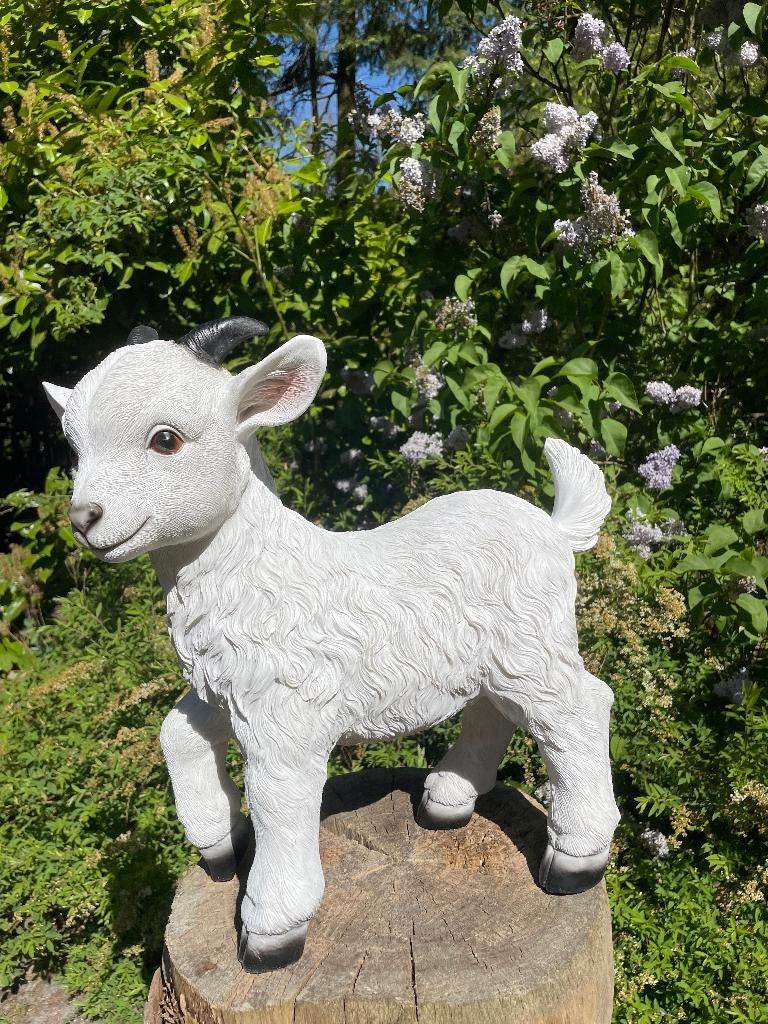 Geitjes, wit, tuin, boerderij, dierentuin 45cm, Ophalen, Nieuw, Kunststof, Dierenbeeld