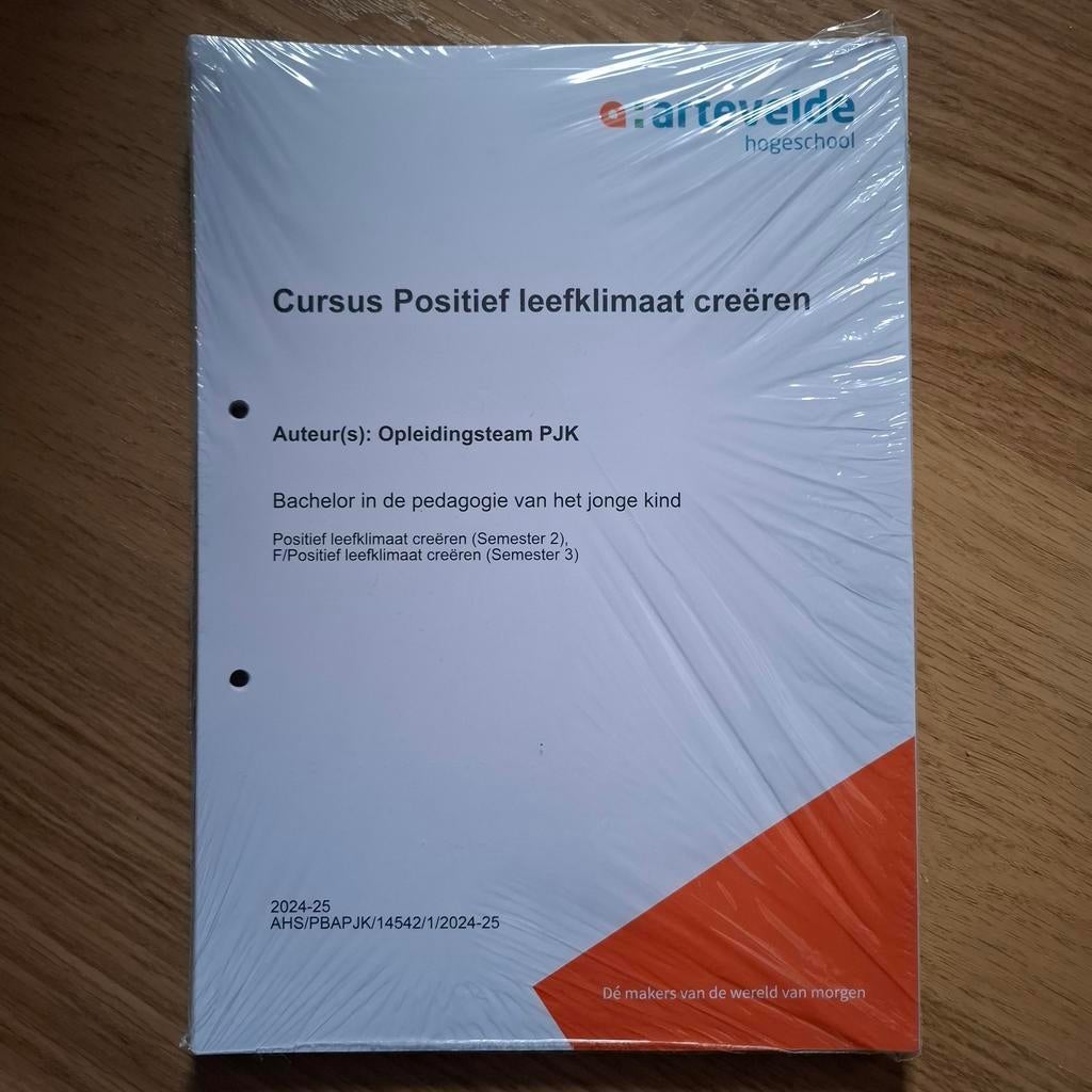 Artevelde cursus positief leefklimaat creëren PJK, Enlèvement