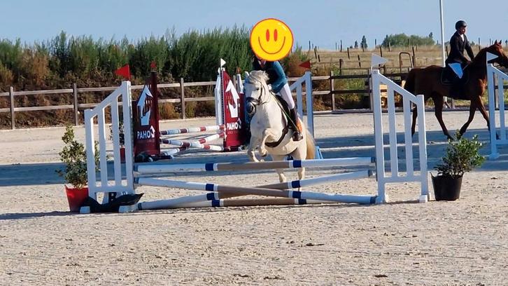B pony, Tickets en Kaartjes, Recreatie | Overige