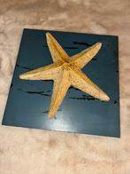 Klein kadertje, Ophalen of Verzenden, Gebruikt