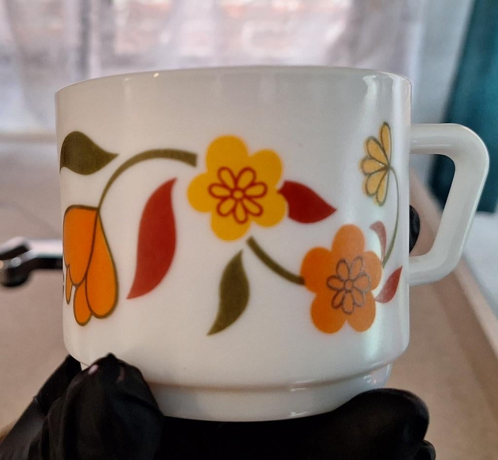 Je recherchais un arcopal avec ce motif, Maison & Meubles, Cuisine | Vaisselle, Enlèvement