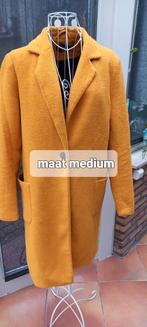 Leuke jassen, Kleding | Dames, Jassen | Winter, Ophalen of Verzenden