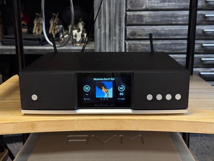 Auralic Aries G1.1, TV, Hi-fi & Vidéo, Lecteurs multimédias, Utilisé, Enlèvement