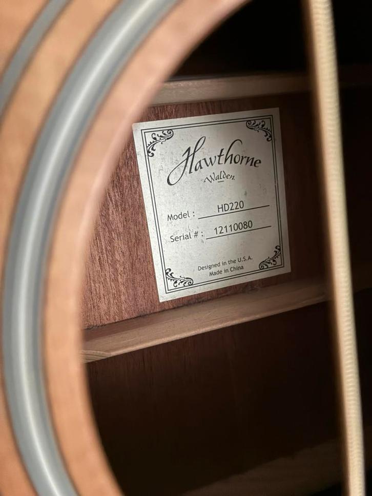 Akoestische gitaar Hawthorne Walden HD220 – nette staat, Muziek en Instrumenten, Snaarinstrumenten | Gitaren | Elektrisch, Zo goed als nieuw