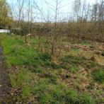 Zeer rustig gelegen stuk natuur, 2480 dessel