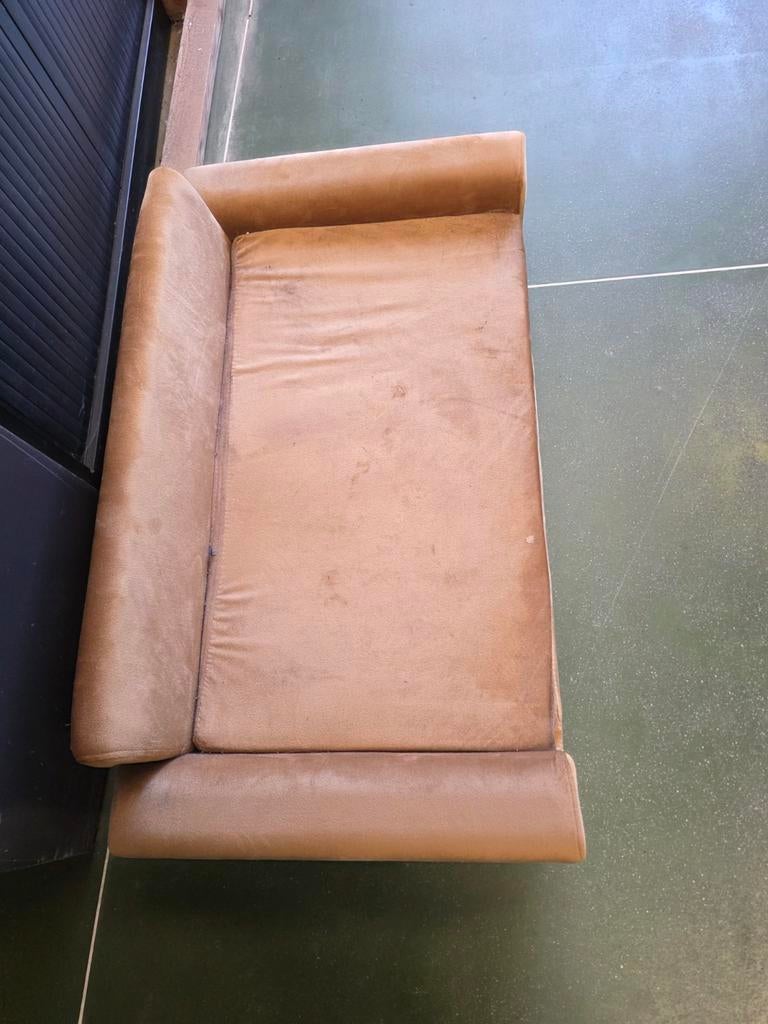 Hondenmand fluweel bruin, Ophalen