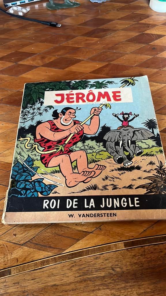 Jerome le roi de la jungle de vandersteen, Enlèvement ou Envoi