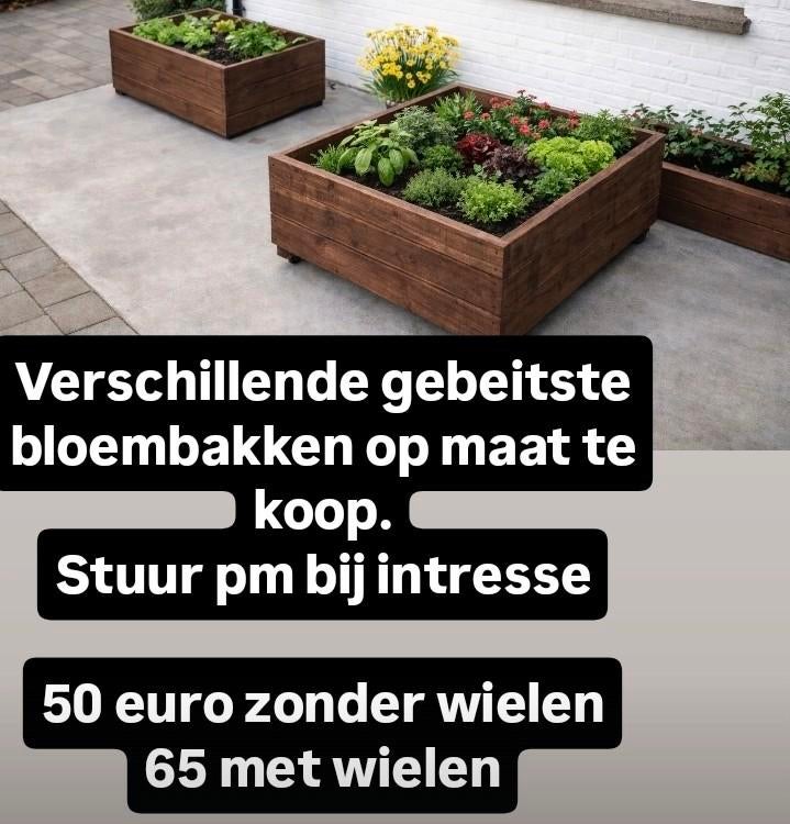 Handgemaakte gebeitste moestuinbak, Enlèvement, Bois, Jardin