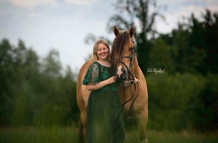 Halve stal gezocht, Animaux & Accessoires, Chevaux, Hongre, Débourré, 160 à 165 cm, 3 à 6 ans, Cheval de récréation
