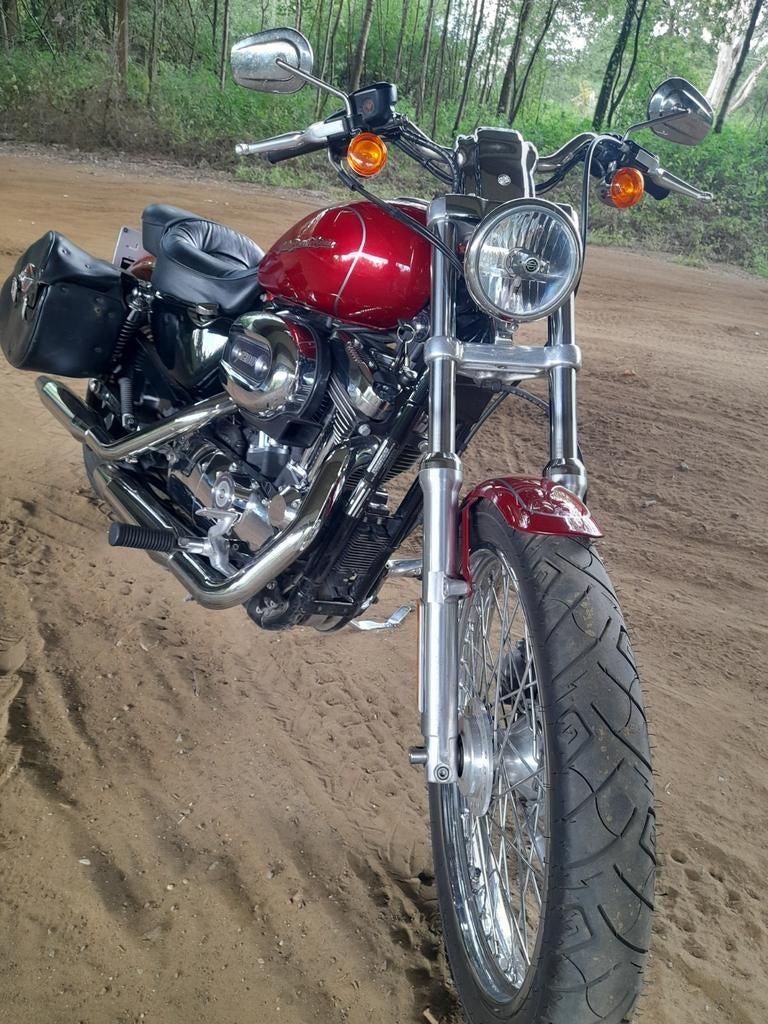 Harley Davidson Sportster  Custom1200, Occasion, Particulier