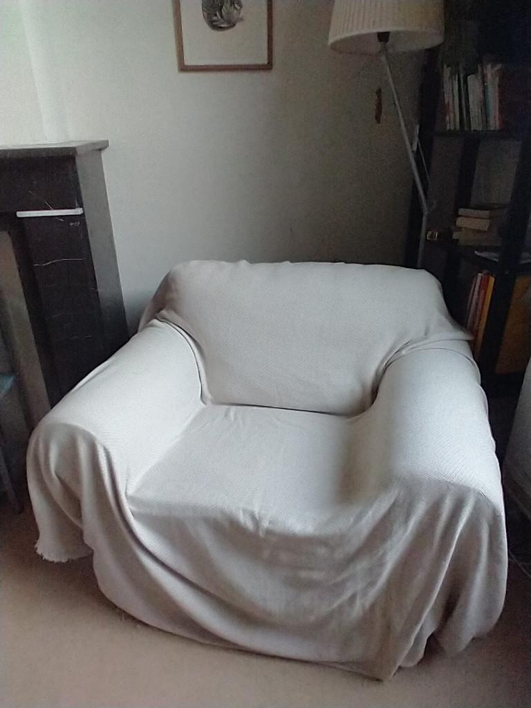 2 Fauteuils EKTORP+couverture cozy/Excellent état/70€ chacun, 75 à 100 cm, Comme neuf, Enlèvement, 75 à 100 cm