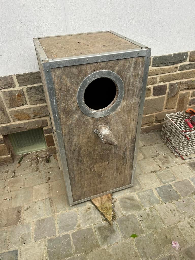 Élevage d'aras ou de cacatoès, Animaux & Accessoires