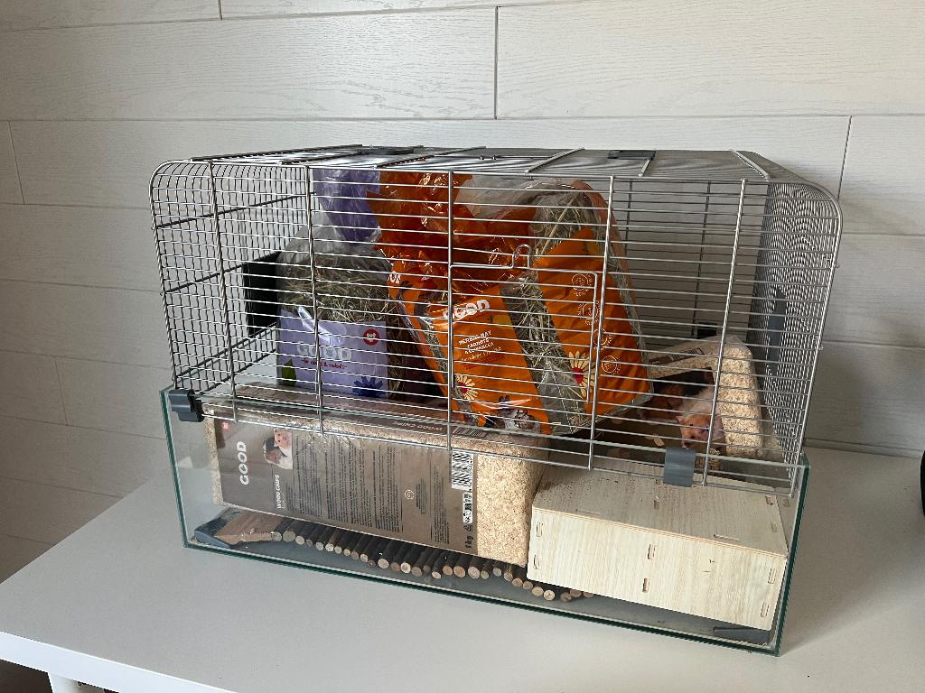 Hamsterkooi, Enlèvement, Comme neuf, Cage, Hamster